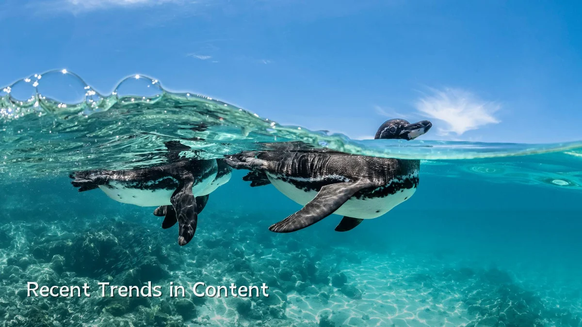 Recent Trends in Content