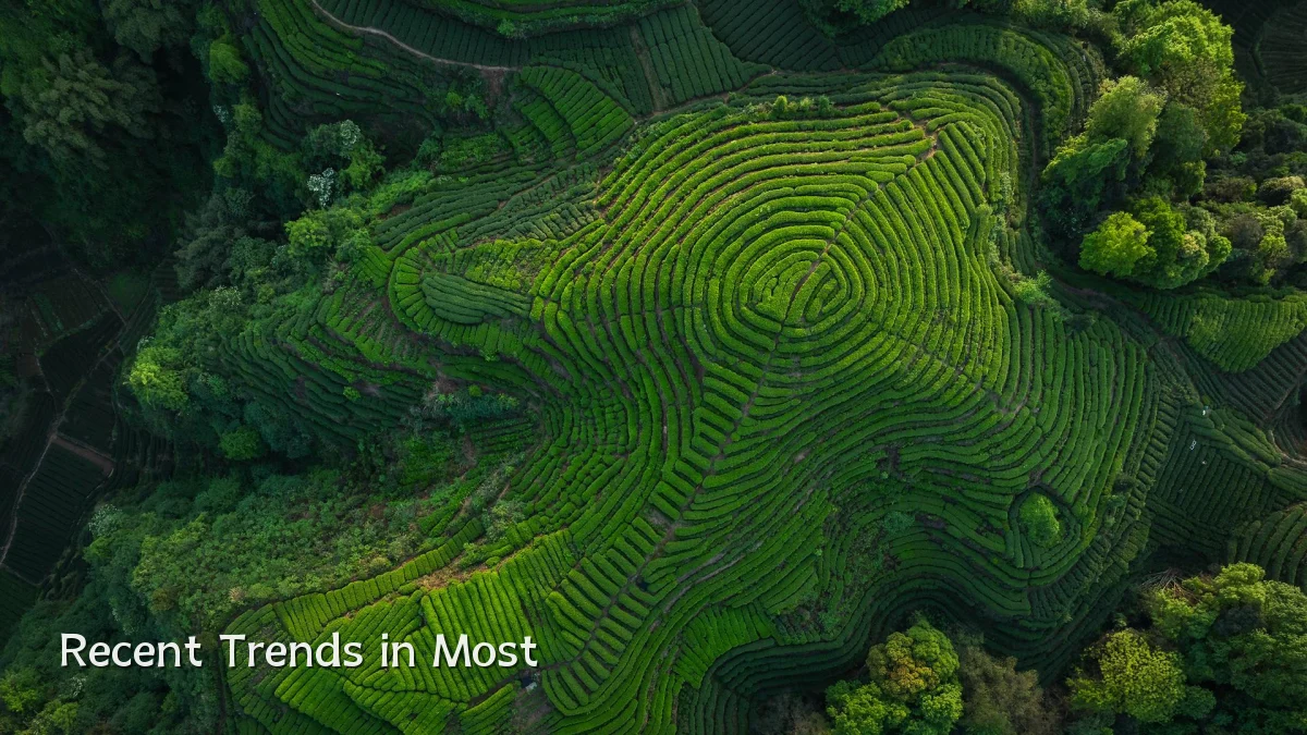Recent Trends in Most