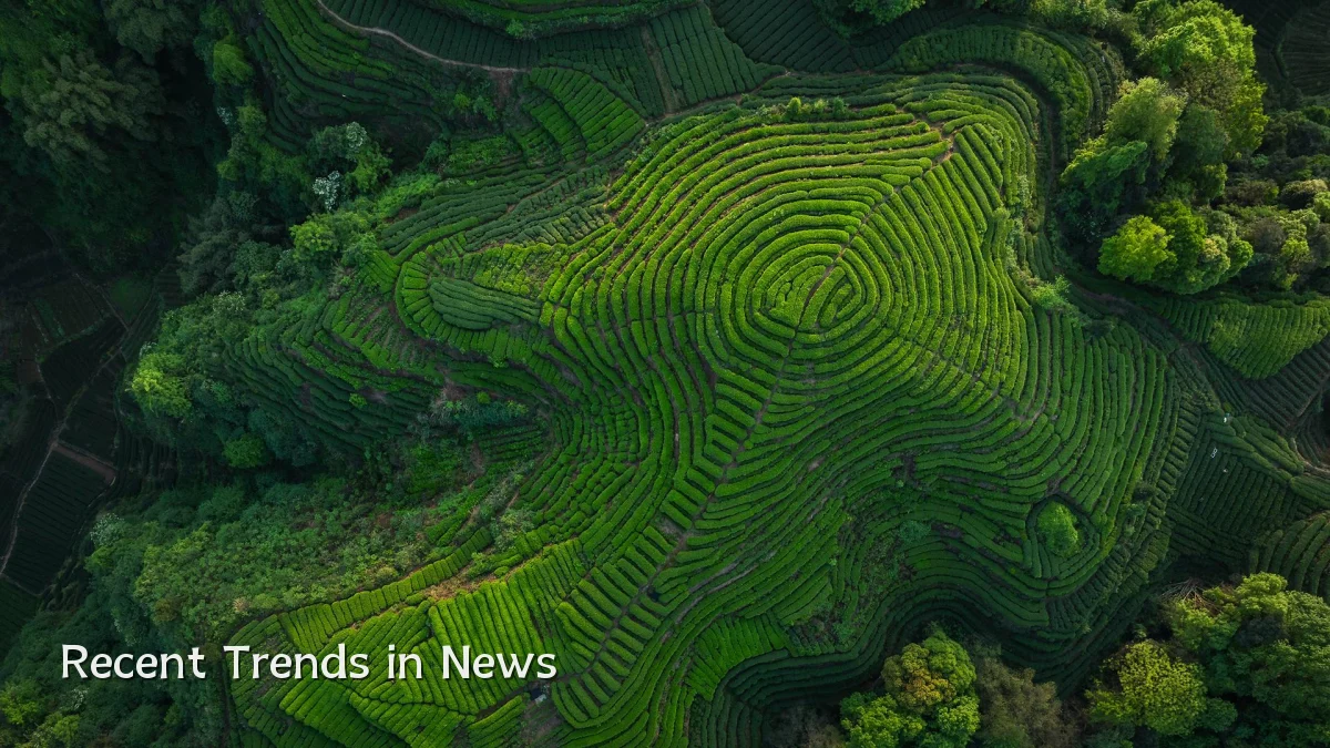 Recent Trends in News