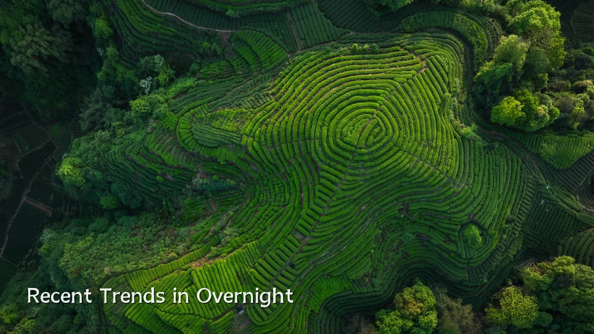 Recent Trends in Overnight