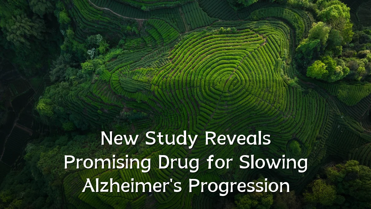 New Study Reveals Promising Drug for Slowing Alzheimer's Progression