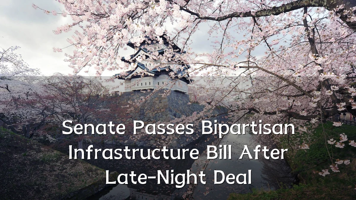 Senate Passes Bipartisan Infrastructure Bill After Late-Night Deal