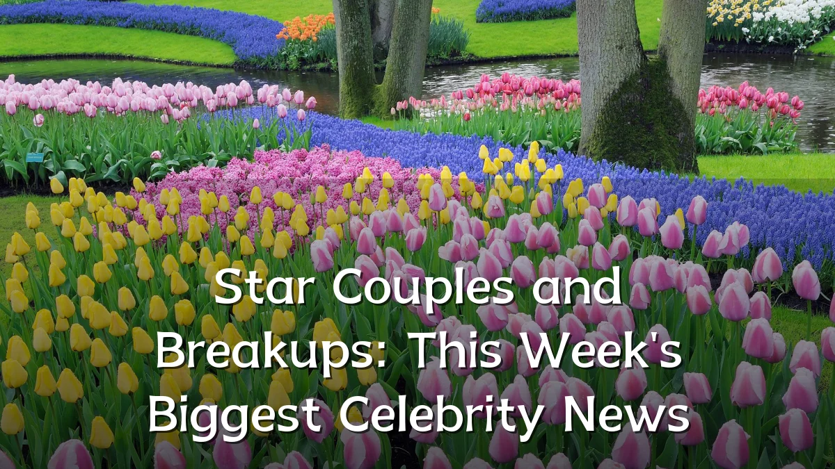 Star Couples and Breakups: This Week's Biggest Celebrity News