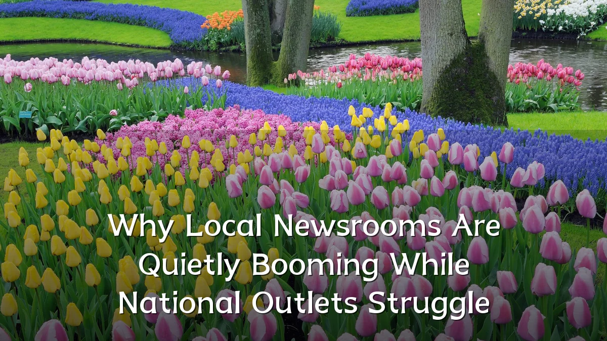 Why Local Newsrooms Are Quietly Booming While National Outlets Struggle