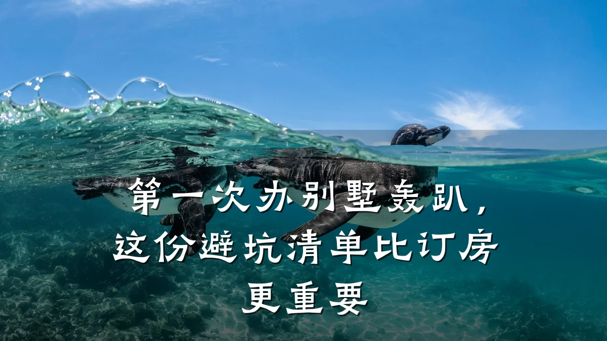 第一次办别墅轰趴,这份避坑清单比订房更重要